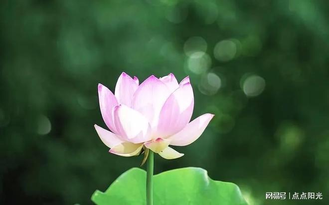 的多重作用：从自我探索到关系指引开元棋牌网站塔罗牌在情感婚姻中
